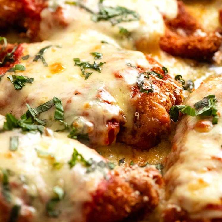 Close up of tray of Chicken Parmigiana (Chicken Parmesan), fresh out of the oven