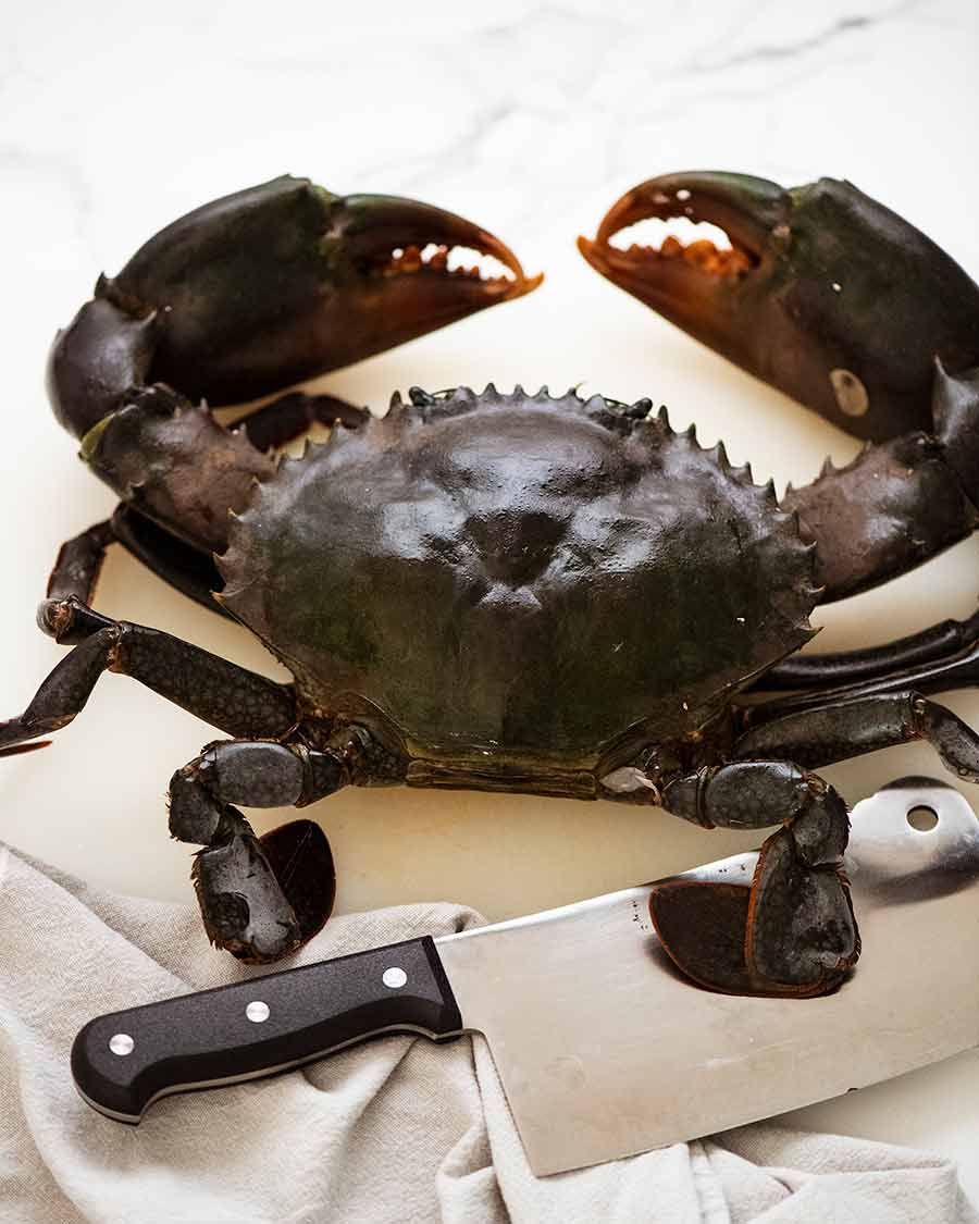 Singapore Chilli Crab - Mud Crab